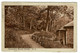 Ref 1431  -  1929 Postcard - Serpentine Woods Kendal - Lake District Cumbria - 1d PUC Stamp - Kendal