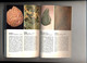 Delcampe - Guide Fossiles Dossilien Erkennen Par Moody Theme Coquillage Plante Etc - Natuur