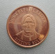 USA United States Lakota SITTING BULL 1/2 Oz AVP Pure Copper Cu - 1/2 Oncia AVP Rame Puro Stati Uniti - Verzamelingen