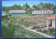 ISRAEL SHANA TOVA NEW YEAR KIBBUTZ KFAR MENACHEM PALPHOT 7110 GARDEN JUIF JEWISH POSTCARD CARTOLINA ANSICHTSKARTE - Nouvel An