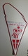 Pennant DENMARK Handball Federation Association Flag Dansk Handbold Forbund 12x17cm - Handball