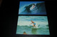 26335-                        Australia - Surfing / 2 CARDS - Other & Unclassified