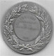 Grande Médaille En Bronze Argenté -  Souvenir De La Grande Guerre  1919 - Loi Du 5 Août 1914 - Frankreich