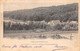 Cernay-la-Ville           78      Etang; Vieux Moulin Et  Bois De La Carrière Des Maréchaux       (voir Scan) - Cernay-la-Ville