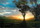 CPSM Sunset Near Wilpena Pound-South Australia    L193 - Autres & Non Classés