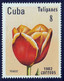 CUBA - Flore, Tulipes - Y&T N° 2346-2351 - MNH - Autres & Non Classés