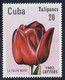 CUBA - Flore, Tulipes - Y&T N° 2346-2351 - MNH - Other & Unclassified