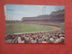 Metropolitan Stadium  Minnesota > Bloomington >    Ref 4607 - Bloomington