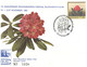 (FF 19) Australia - Blue Mountains Rhododendron Festival 30th Anni. In Blackheath (1982) - Andere & Zonder Classificatie
