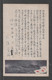 JAPAN WWII Military Ship Japan Flag Picture Postcard SOUTH CHINA ANDO Force CHINE WW2 JAPON GIAPPONE - 1943-45 Shanghai & Nankin