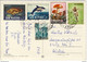 Cartolino , MUSHROOM FUNGHI PILZ, SAN MARINO DIFFERENT FRANKING WITH DELFINO, SPORT, Fish 1967 - Storia Postale