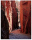 (HH 28) Australia - NT - Standley Chasm - The Red Centre