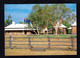 Australie - ALICE SPRINGS - OLD TELEGRAPH STATION ( Photo Kerry Williams N° BS 239) - Alice Springs
