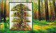 POLAND 2012 Booklet / Edible And Poisonous Mushrooms In Polish Forests / Full Sheet MNH** - Libretti