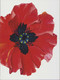 Poland 2014 Souvenir Booklet / The Battle Of Monte Cassino, General Anders, Poppy Flower / FDC + Stamp MNH**FV - Markenheftchen