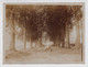 DEURLE  OUDE FOTO +- 1900   KASTEELDREEF    12 X 9 CM  3 SCANS - Sint-Martens-Latem