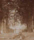 DEURLE  OUDE FOTO +- 1900   KASTEELDREEF    12 X 9 CM  3 SCANS - Sint-Martens-Latem