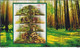 POLAND 2012 Booklet / Edible And Poisonous Mushrooms In Polish Forests / Full Sheet MNH** + 2 X FDC FV - Markenheftchen