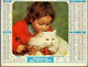 CALENDRIER GF 1977 - Enfant & Chat, Manège Auto-tampon Incendie Et Enfant, Imprimeur Oller (calendrier Double) - Big : 1971-80
