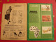 Album D'images Collées Rossel Editions. Bébés Animaux. Complet. Vers 1970 - Disney