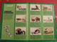 Delcampe - Album D'images Collées Rossel Editions. Bébés Animaux. Complet. Vers 1970 - Disney