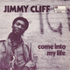 * 7"  *  Jimmy Cliff -Sufferin'  In The Land / Come Into My Life - Reggae