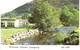 RIVERSIDE, GLANDWR, LLANGYNOG, WALES. UNUSED POSTCARD Jo5 - Carmarthenshire