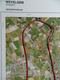 GULLEGEM WEVELGEM BISSEGEM HEULE KORTRIJK ©1990 GROTE-LUCHT-FOTO 67x48cm ORTHOFOTOPLAN  PHOTO AERIENNE LUCHTFOTO R649 - Wevelgem