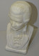 ANCIEN BUSTE MOZART En PLATRE COLLECTION DECO OBJET DE VITRINE XXe - Other & Unclassified