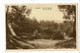 CPA  Carte Postale-Belgique-Hechtel- Sur Les Dunes   VM32524at - Hechtel-Eksel