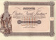AZIONE CANTIERE NAVALE TRIESTINO 1919/1923 TRIESTE LIRE 200 - A - C