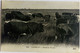 Camargue Manade De Taureaux Rare - Bull