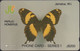 Jamaica - 8B - Papilio Homerus -  Schwalbenschwanz - Schmetterling - 8JAMD - Giamaica