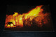 30527-                  AUSTRALIA, SUGAR CANE, BURNING CANE BEFORE HARVESTING - Autres & Non Classés