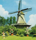 Coevorden - Molen 'De Arend' En 3 Mini Windmolens - (Nederland) - (Moulin à Vent, Mühle, Windmill, Windmolen) - Coevorden