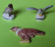 Lot 3 Fèves RAPACES - Aigle, Chouette D'Harry Potter, Circaete Jean Le Blanc Du WWF Magasin Champion - Années 2000 - Tiere