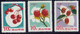 CHINE - Fruits - 1966 - MNH - Nuevos