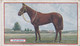 3 Papyrus 1923  - Derby Winners & Jockeys 1923 - Godfrey Phillips Cigarette Card - Original - Sport - Horses - Racing - Phillips / BDV