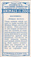 Delcampe - 5 Mandrill - Animals At The Zoo, 1924 - Morris Cigarette Card - Original - Wildlife - Phillips / BDV