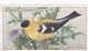 19 American Goldfinch  - Foreign Birds 1924 - Ogdens  Cigarette Card - Original - Wildlife - Ogden's