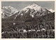 Waldhaus Vulpera,Piz Lischana U.Piz St.Jon MWST 1951 - Wald