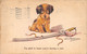 21-P-BRT.2963 : CARTE ILLUSTREE PAR VERA PATERSON. CHIEN ET SABRE. I'M GLAD TO KNOW YOU'RE HAVING A REST - Paterson