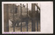 ZOO DI ROMA - FOTOCARTOLINA  VIAGGIATA NEL 1911 - RINOCERONTE - RHINOCEROS - NASHORN - UNICA!!!! - Neushoorn