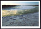 AK 001805 USA - North Dakota - Missouri River Bei Washburn - Sonstige & Ohne Zuordnung