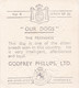 4 Pekingese   - Our Dogs 1939  -  Phillips Cigarette Card - Original - Pets - Animals - 5x6cm - Phillips / BDV