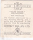 22 The Deerhound  - Our Dogs 1939  -  Phillips Cigarette Card - Original - Pets - Animals - 5x6cm - Phillips / BDV