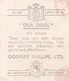 25 The Beagle   - Our Dogs 1939  -  Phillips Cigarette Card - Original - Pets - Animals - 5x6cm - Phillips / BDV