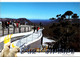 (5 A 11) Australia - NSW - Blue Mountains UNESCO - Sonstige & Ohne Zuordnung