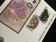 Euro Souvenir Banknote Cover France 2021 Europa CEPT Faune En Danger Fauna Strasbourg Banknotenbrief - 2021