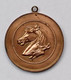 Ancienne Medaille Old Medal 1913 Paardenprijskamp Comice Nazareth Oost-Vlaanderen Jaarmarkt Paard Cheval Horse Pferd - Altri & Non Classificati